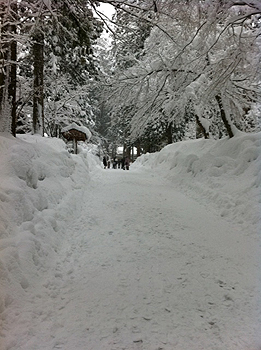 110215_01.jpg